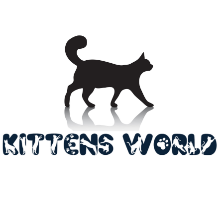 KittensWorld