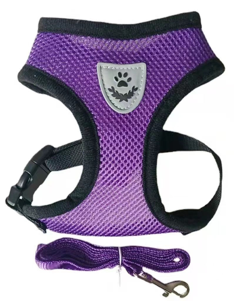 Cat Harness