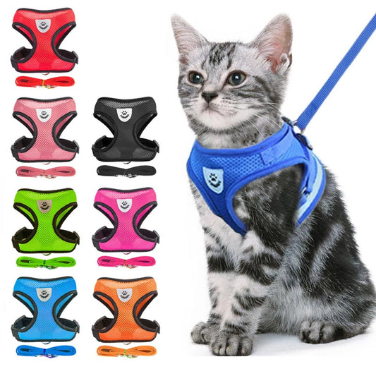 Cat Harness